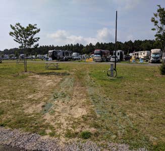 Camper-submitted photo from Cape Charles / Chesapeake Bay KOA