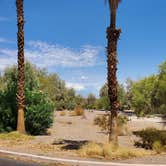 Review photo of Lake Mead RV Village — Lake Mead National Recreation Area by T K., July 19, 2021