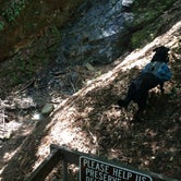 Review photo of Uvas Canyon County Park by DEREK B., May 13, 2015