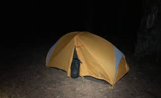 Michael's photo at Vincent Creek near Scottsburg, OR