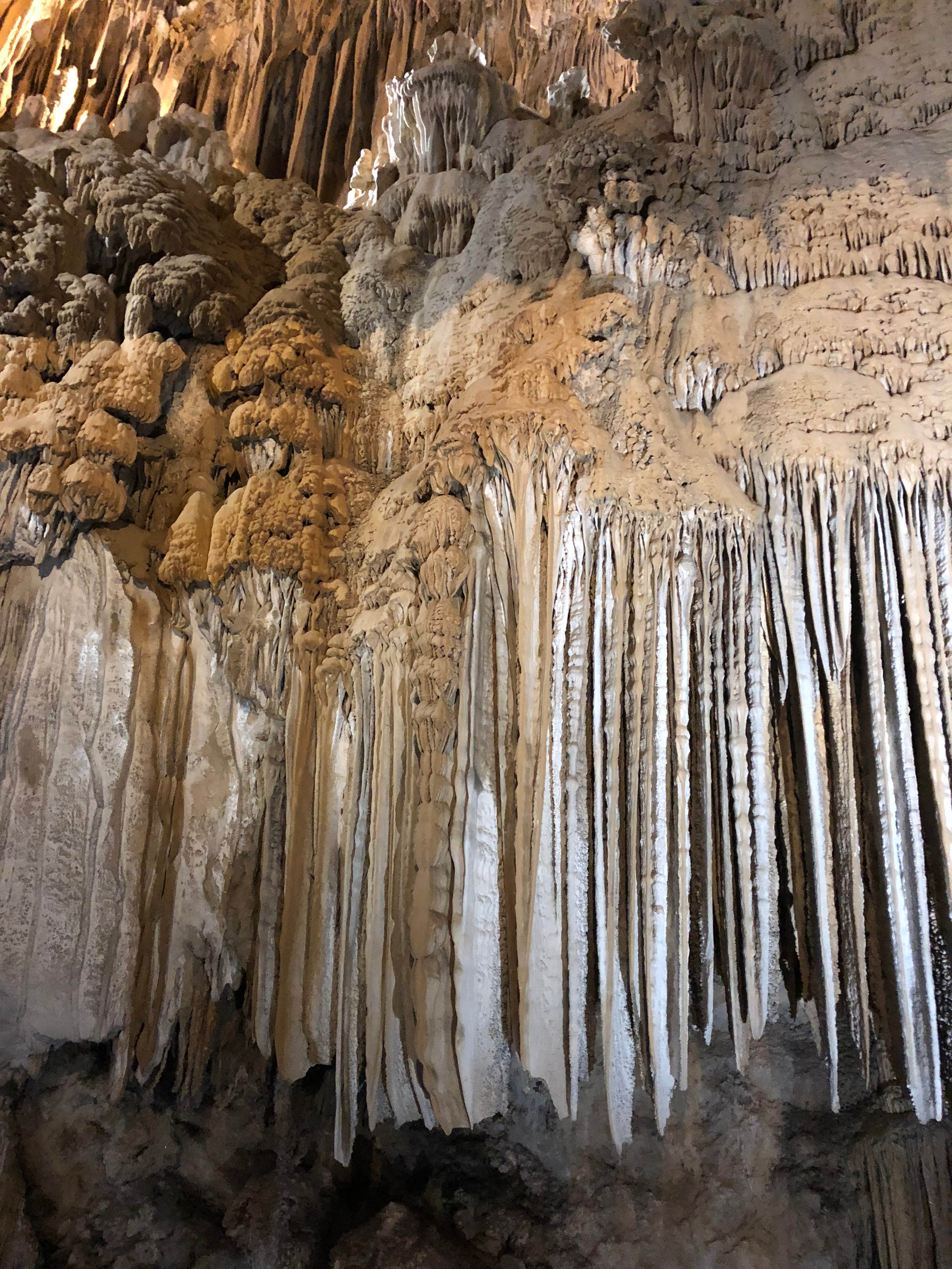 Camper-submitted photo at Shasta Lake RV Resort near Lakehead, CA