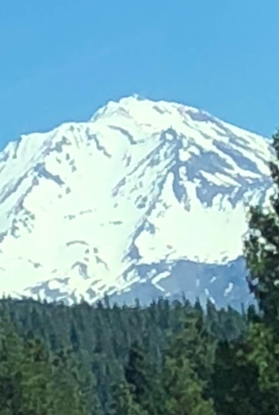 Camper-submitted photo at Shasta Lake RV Resort near Lakehead, CA