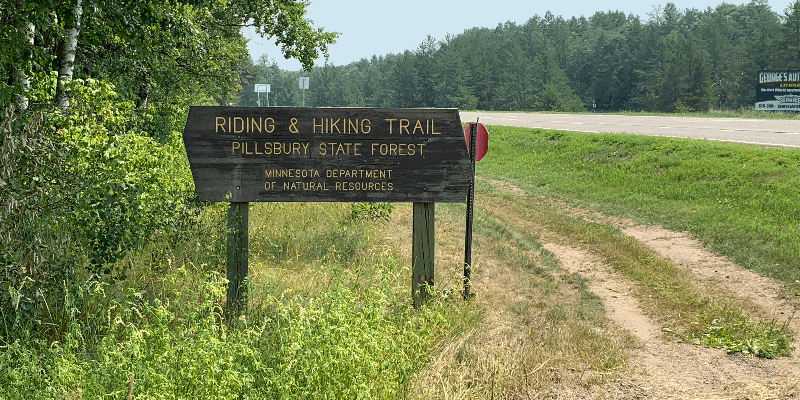 Camper submitted image from Walter E Stark Horse Campground - Pillsbury State Forest