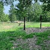 Review photo of Walter E Stark Horse Campground - Pillsbury State Forest by Scott M., July 19, 2021