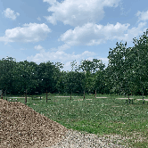 Review photo of Walter E Stark Horse Campground - Pillsbury State Forest by Scott M., July 19, 2021