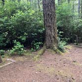 Review photo of Jessie M. Honeyman Memorial State Park Campground by Michael , July 19, 2021