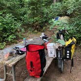 Review photo of Jessie M. Honeyman Memorial State Park Campground by Michael , July 19, 2021