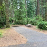 Review photo of Jessie M. Honeyman Memorial State Park Campground by Michael , July 19, 2021