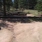 Review photo of Springer Gulch by Julie  M., June 15, 2018