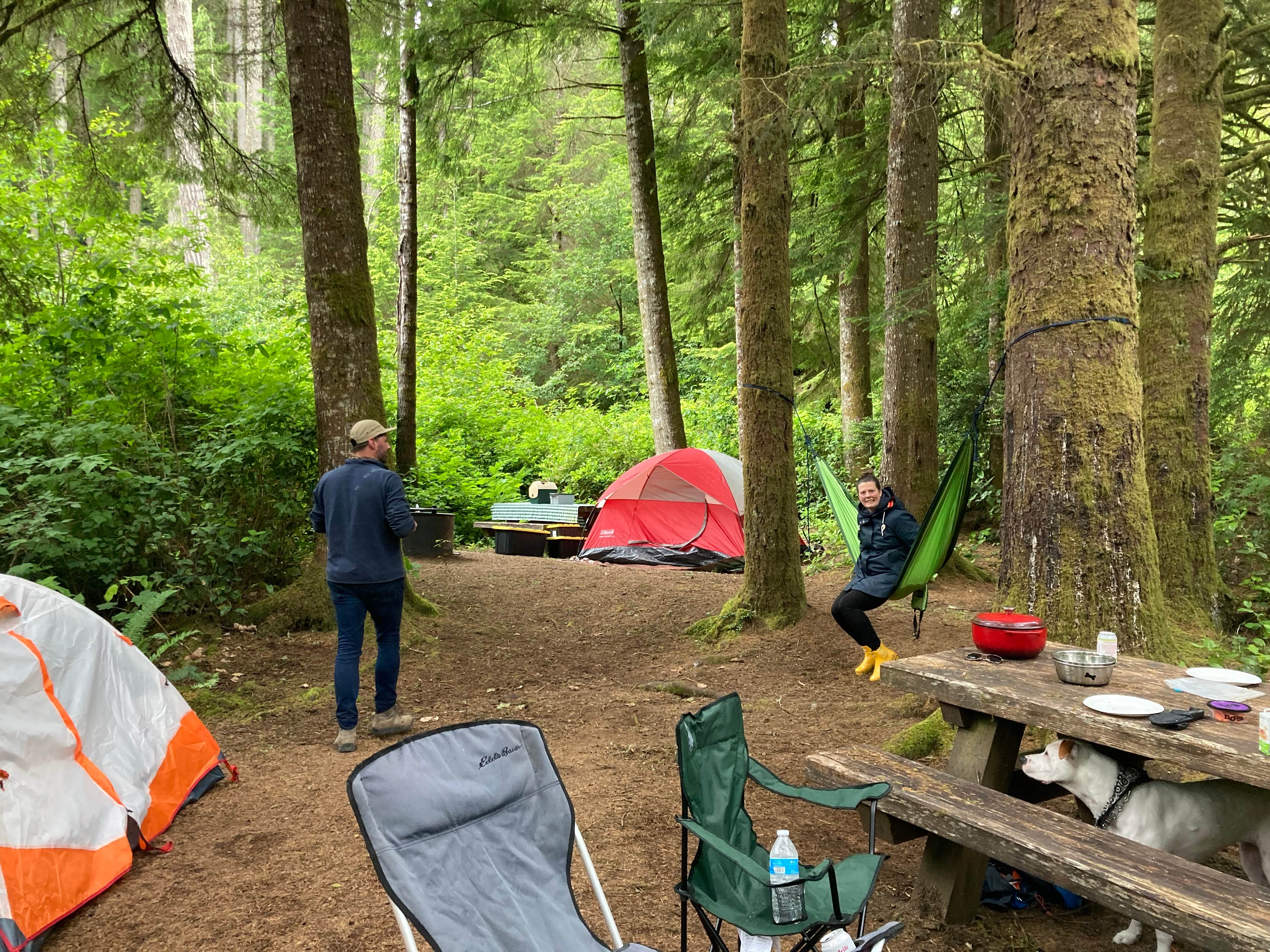 Michael's photo at Tahkenitch Campground near Siuslaw National Forest