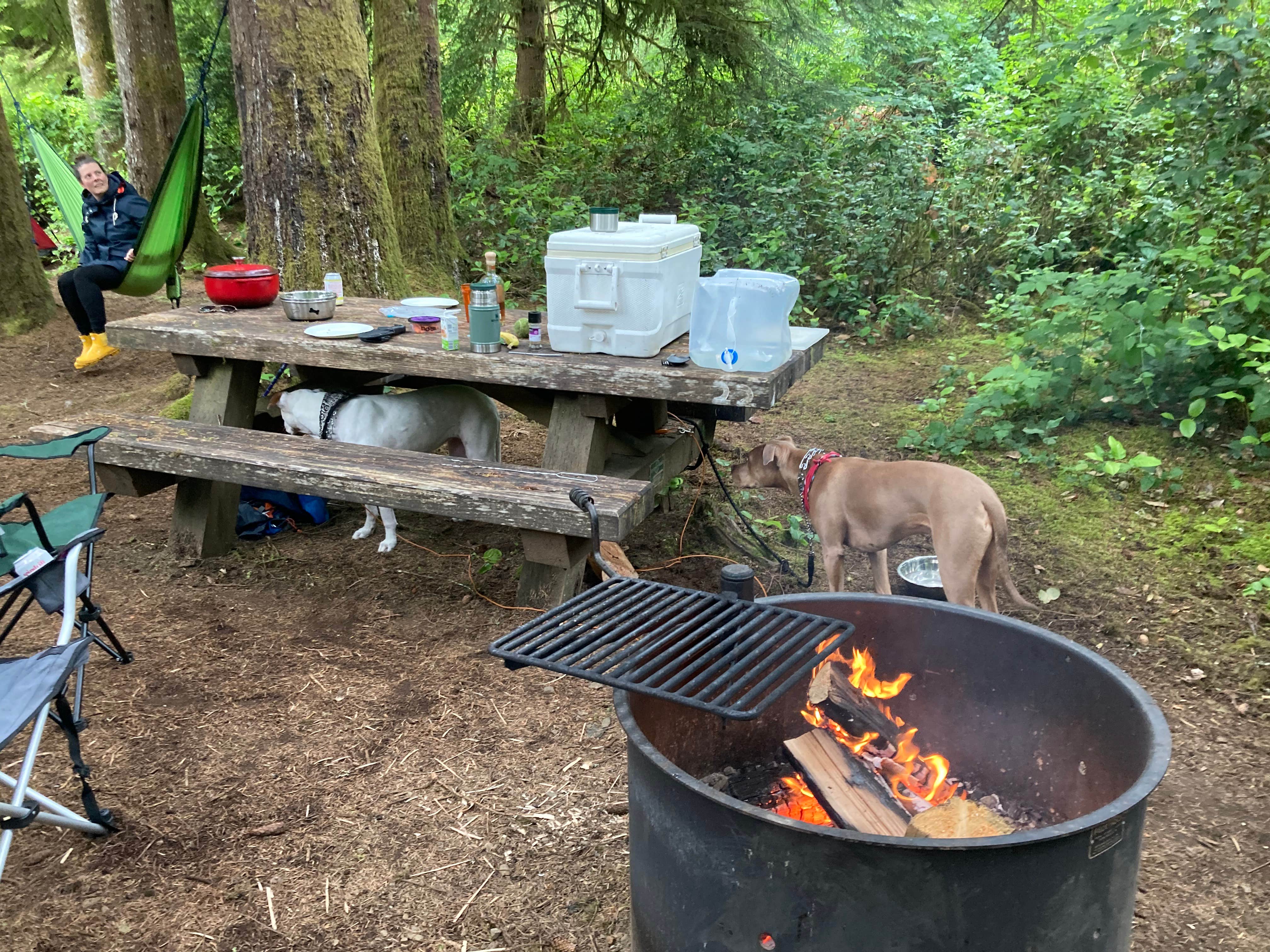 Michael's photo at Tahkenitch Campground near Gardiner, OR