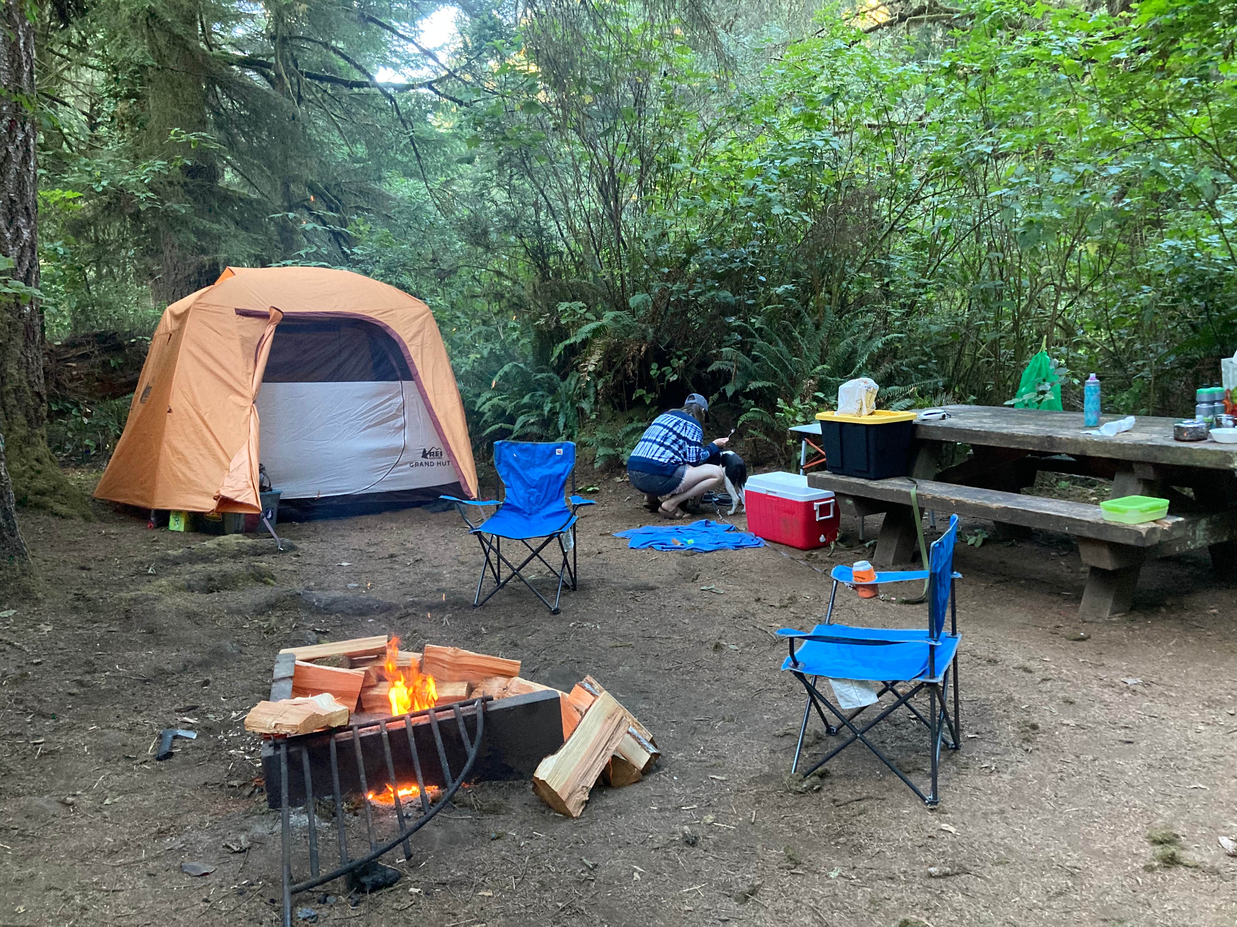 Michael's photo at Tahkenitch Campground near Lakeside, OR