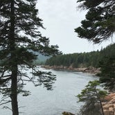 Review photo of Blackwoods Campground — Acadia National Park by Jennifer P., June 15, 2018