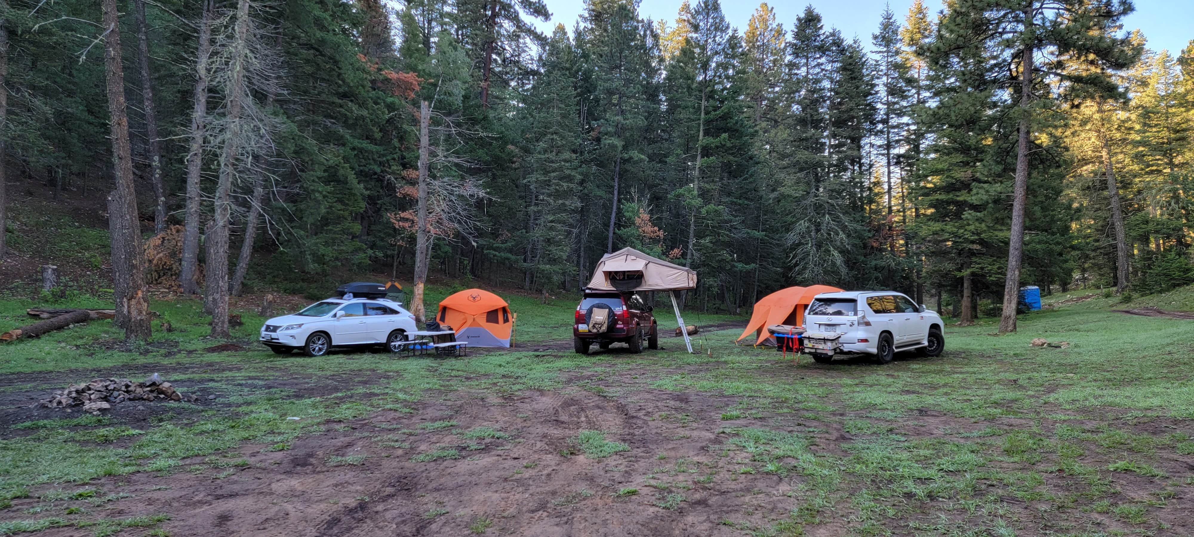 michael's photo at Bailey Canyon Campground near Lincoln National Forest