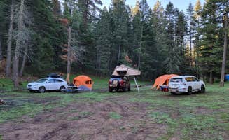 michael's photo at Bailey Canyon Campground near Lincoln National Forest