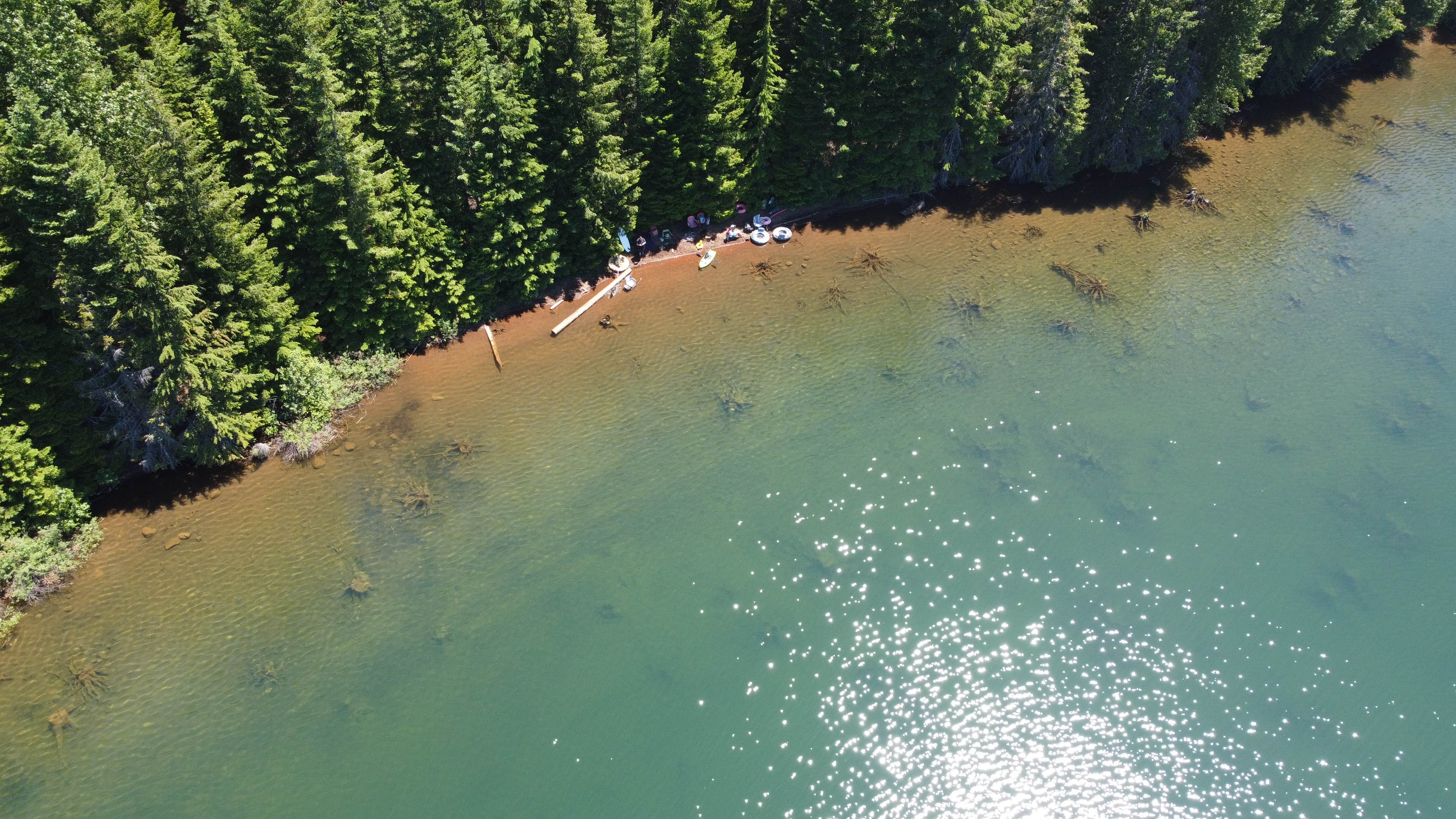 Camper-submitted photo at Gone Creek near Government Camp, OR