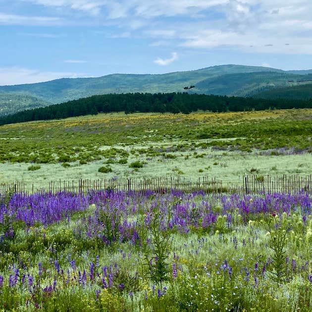 Ponderosa Group Campground — Bandelier National Monument Los alamos, NM