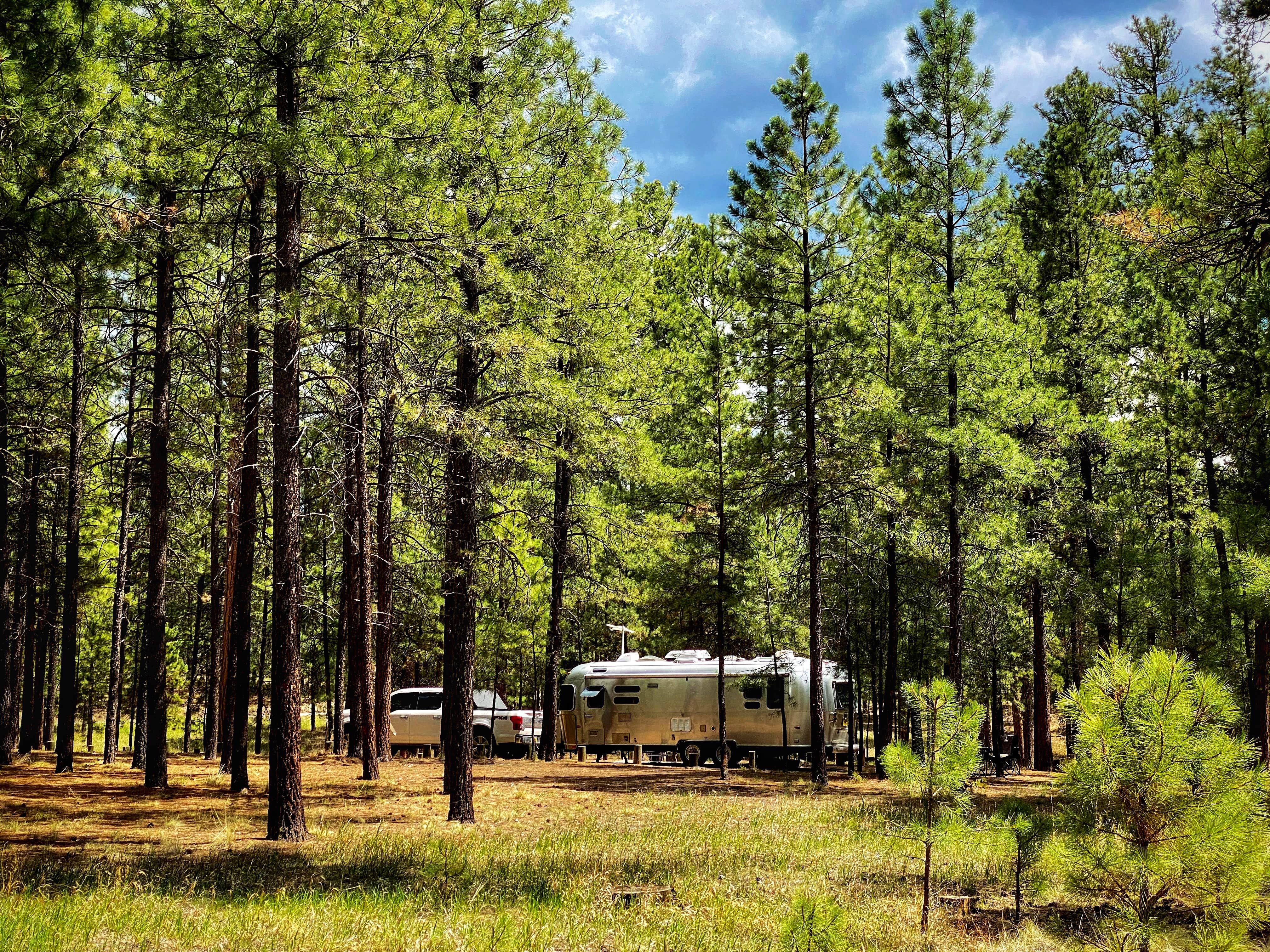 Best dispersed camping in Santa Fe National Forest The Dyrt
