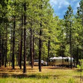 Review photo of Jemez Falls Campground by gail A., July 20, 2021