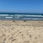 Review photo of Huntington Beach RV Campground by Brittney  C., July 20, 2021