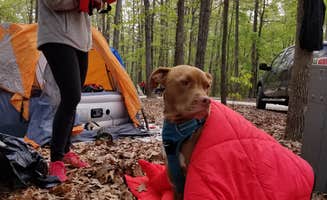 Sarah W.'s photo at Kings Mountain — Kings Mountain State Park in South Carolina