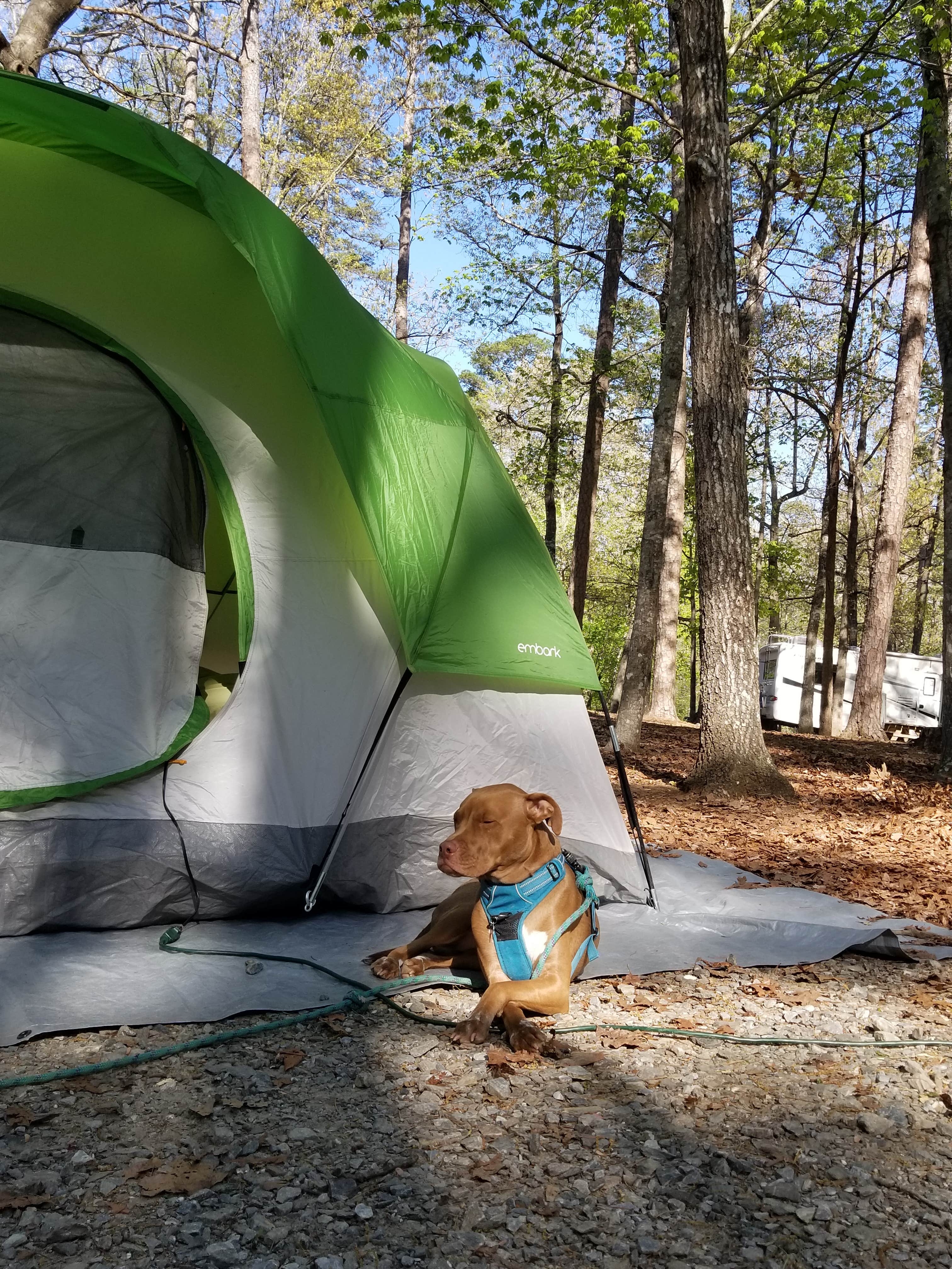 Sarah W.'s photo at Kings Mountain — Kings Mountain State Park near Charlotte, NC