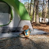 Review photo of Kings Mountain State Park Campground by Sarah W., June 15, 2018