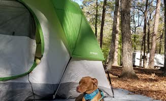 Sarah W.'s photo at Kings Mountain — Kings Mountain State Park near Shelby, NC