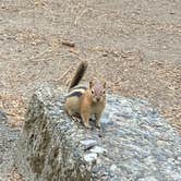 Review photo of Wallowa Lake State Park Campground by Lauren A., July 20, 2021