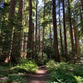 Review photo of Lost Lake Resort And Campground — Mt. Hood National Forest by Lauren A., July 20, 2021