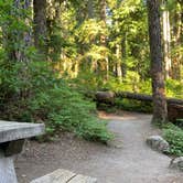 Review photo of Lost Lake Resort And Campground — Mt. Hood National Forest by Lauren A., July 20, 2021