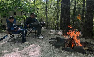 Michelle P.'s photo at Spacious Skies Bear Den near Spruce Pine, NC