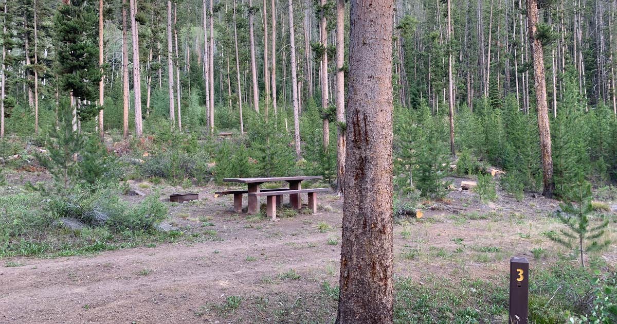 Custer #1 Campground