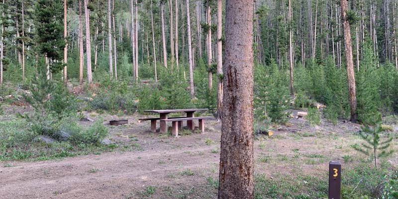 Camper submitted image from Custer #1 Campground