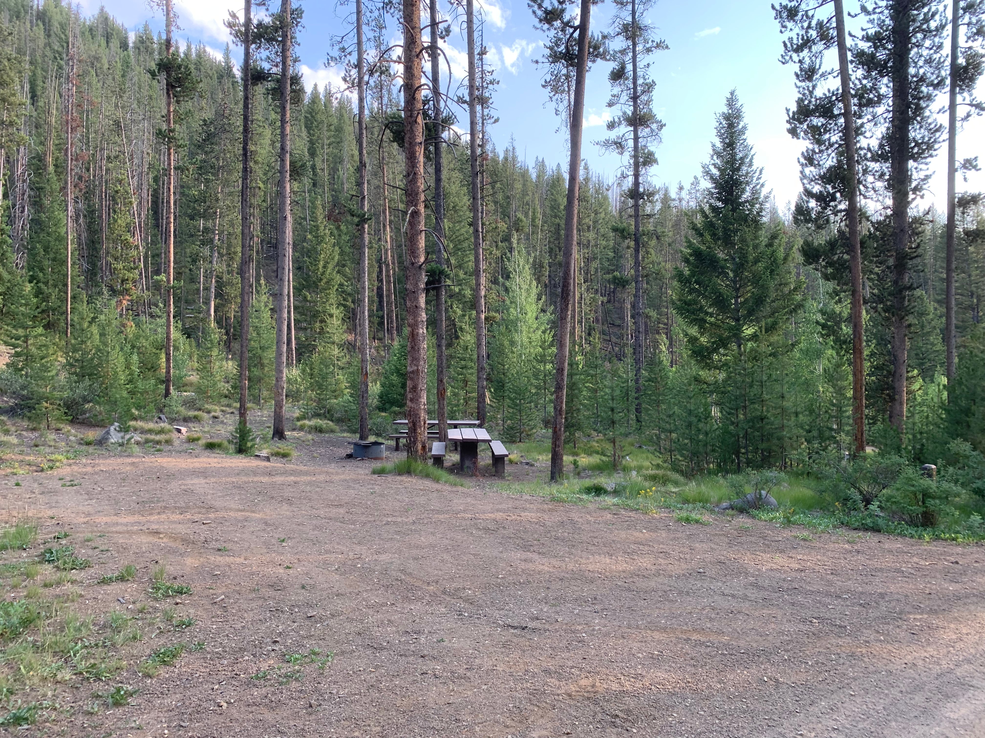 Camper submitted image from Custer #1 Campground - 3