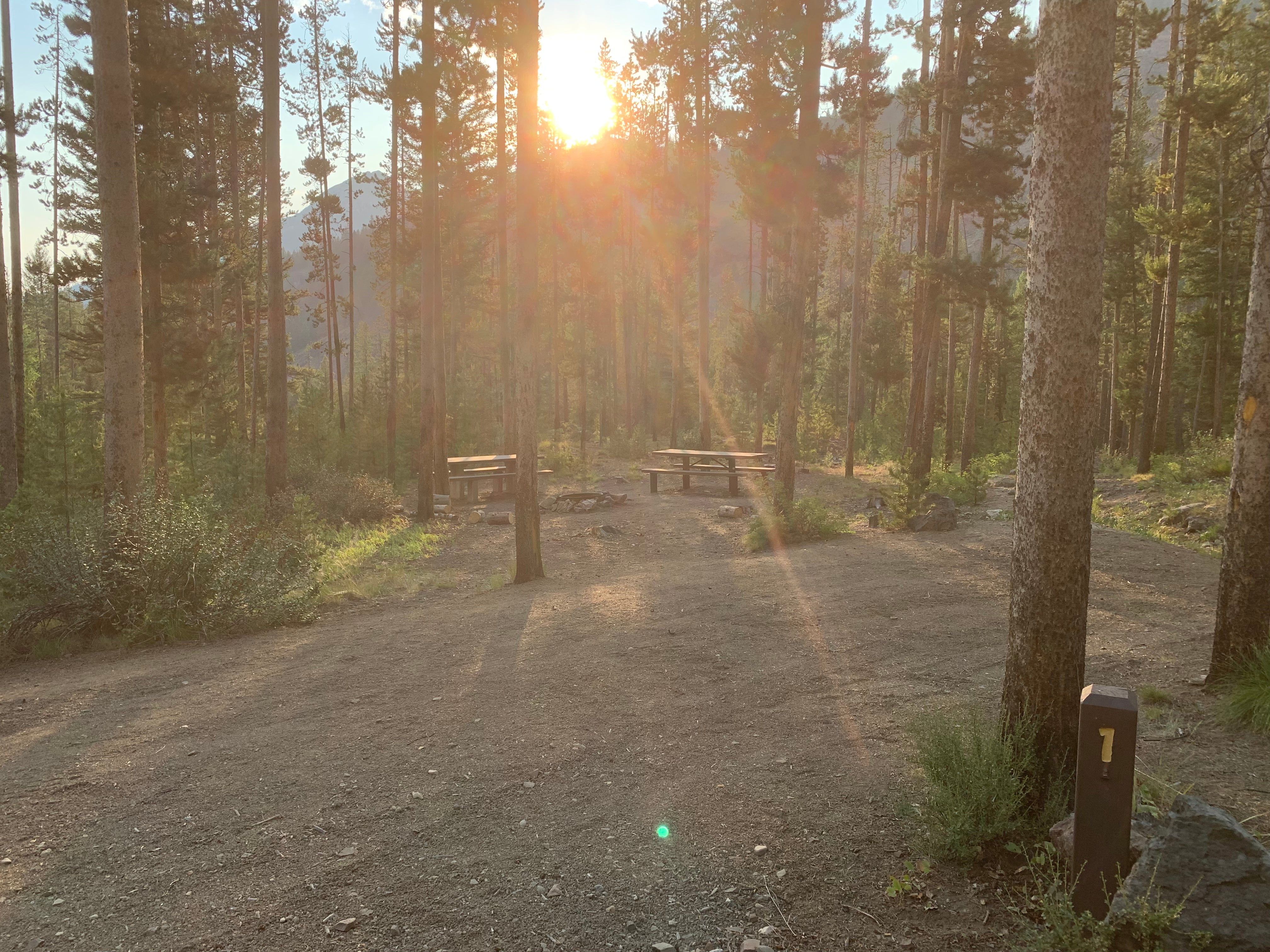 Camper submitted image from Custer #1 Campground - 2