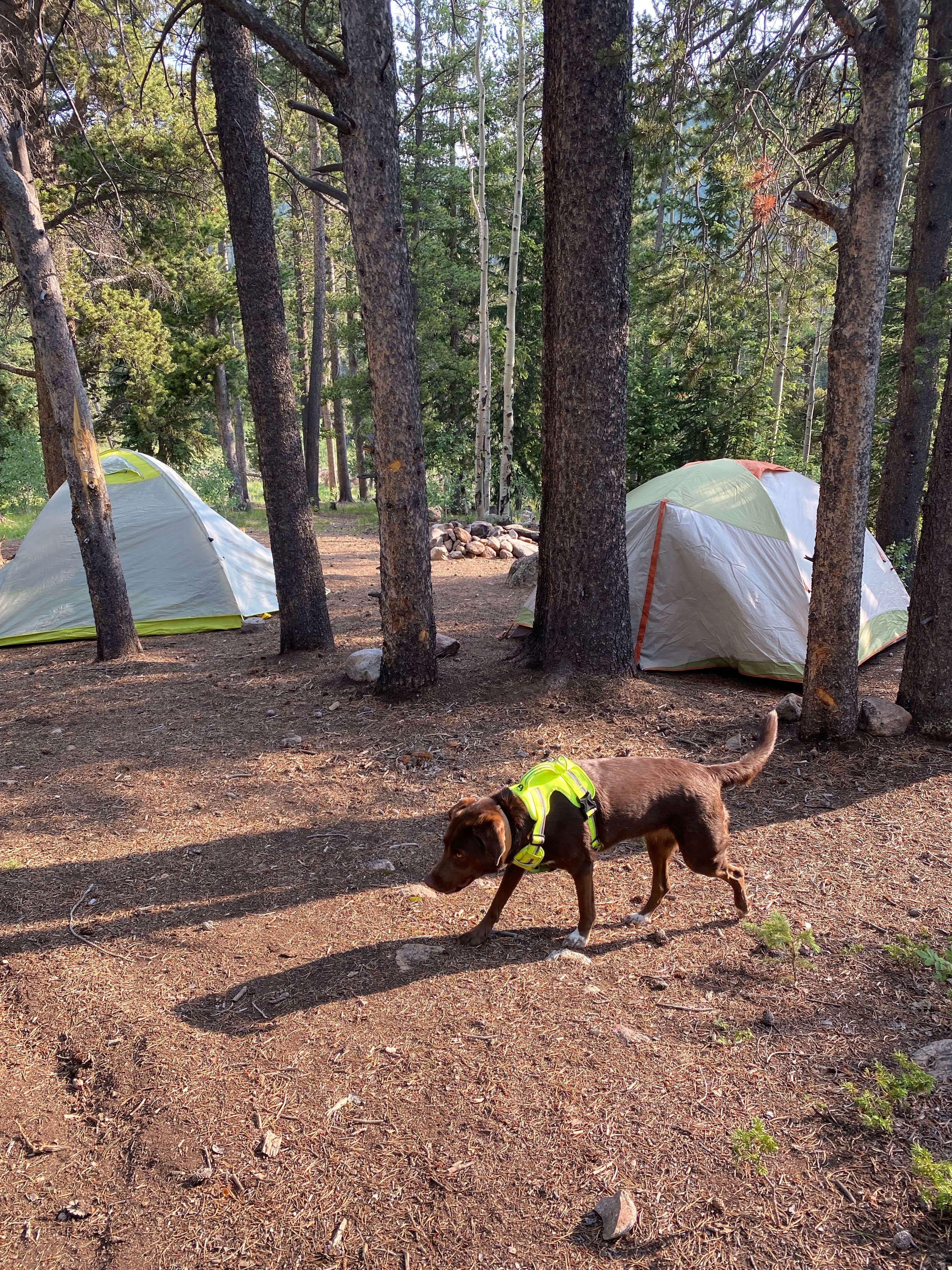 JT S.'s photo at Kirby Gulch near Montezuma, CO