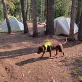 Review photo of Kirby Gulch by JT S., July 20, 2021