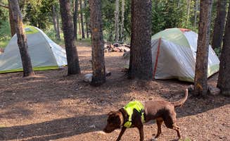 JT S.'s photo at Kirby Gulch near Shawnee, CO