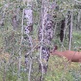 Review photo of Stoddard Creek Campground by Clint  G., July 20, 2021