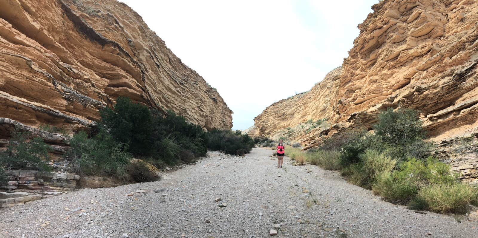 Camper submitted image from La Noria — Big Bend National Park - 2