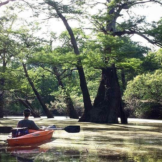 Camper submitted image from Chemin-A-Haut State Park - 3