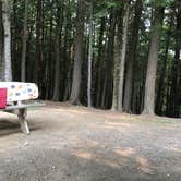 Review photo of Katahdin Shadows Campground by Mike , July 20, 2021