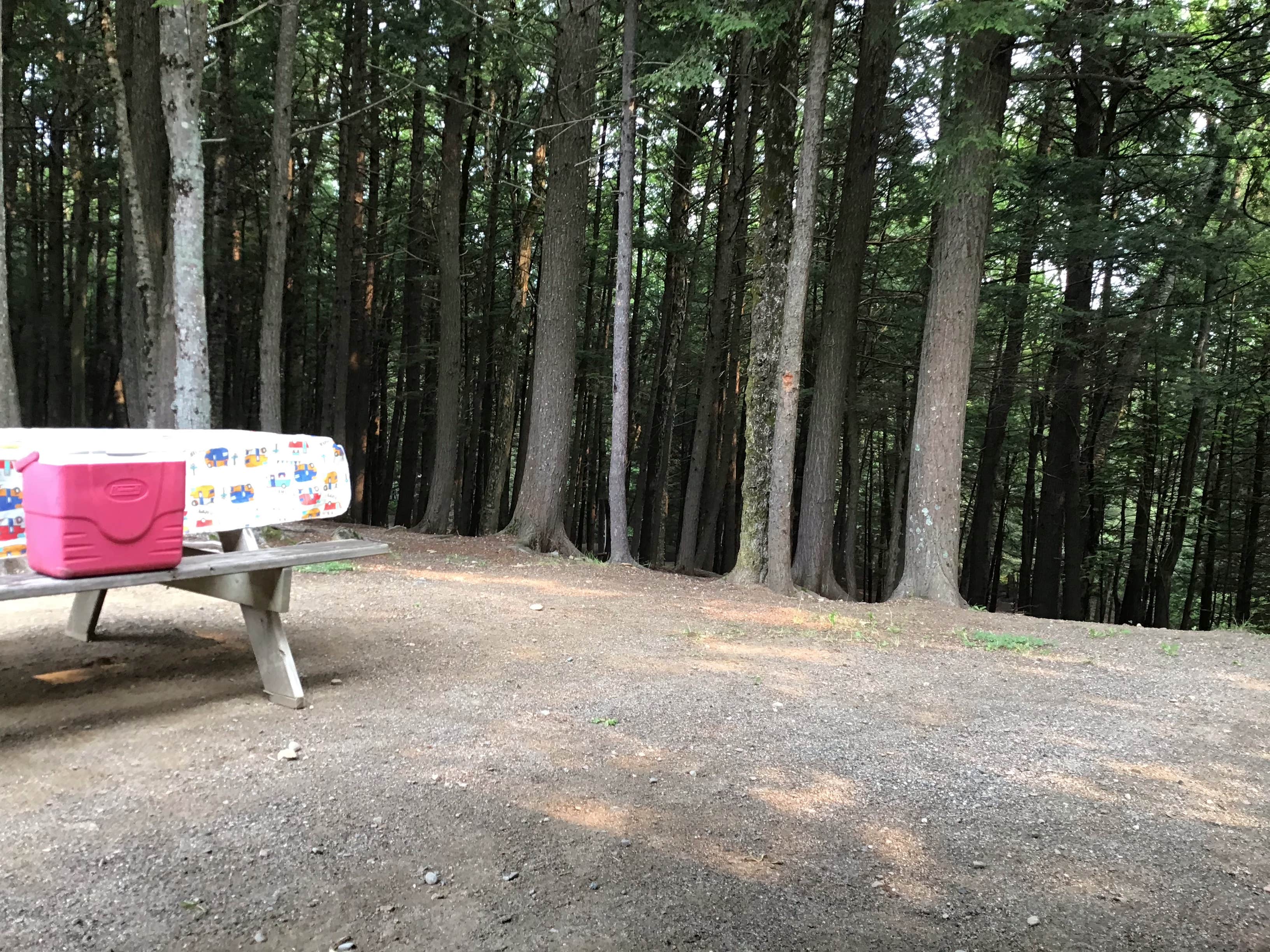 Camper submitted image from Katahdin Shadows Campground - 3