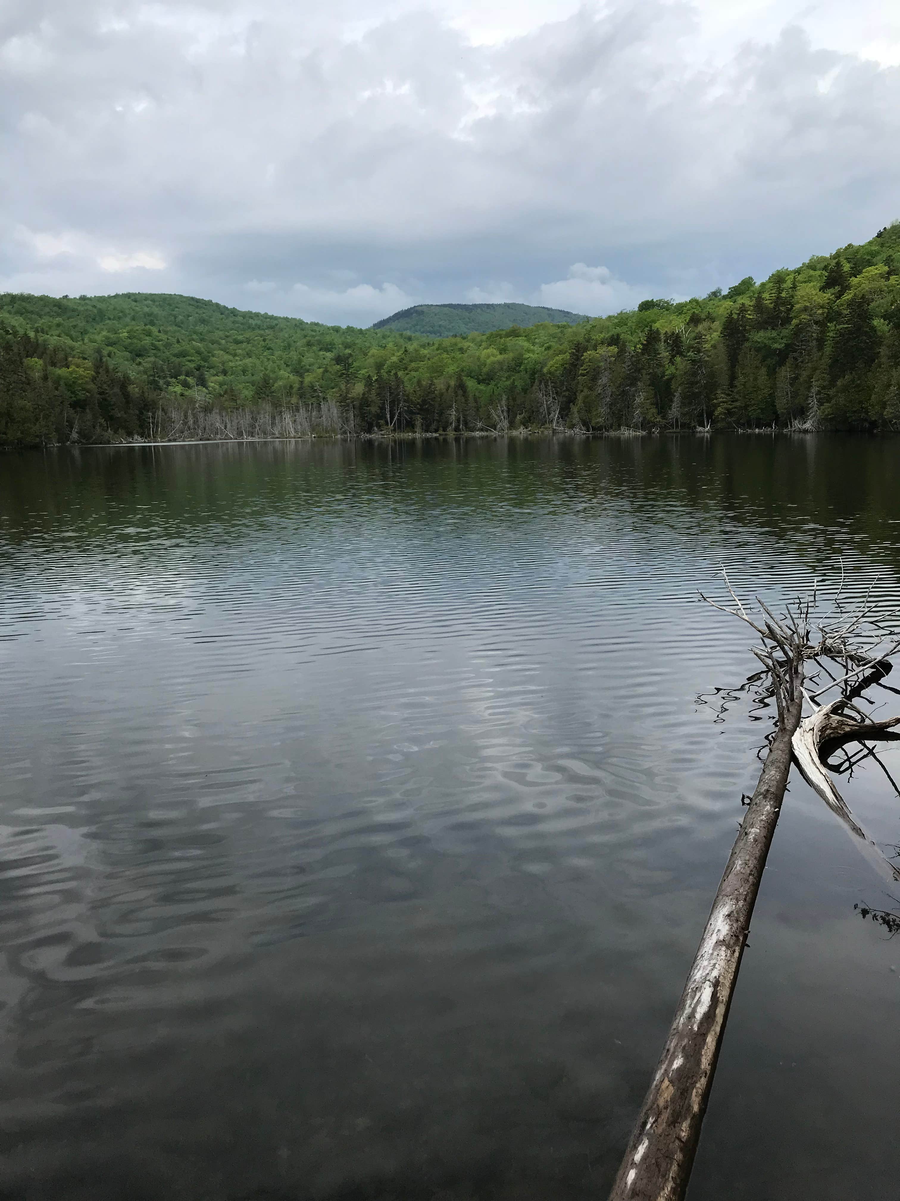 Camper-submitted photo at Deer Farm Camps & Campground - TEMPORARILY CLOSED near Madison, ME