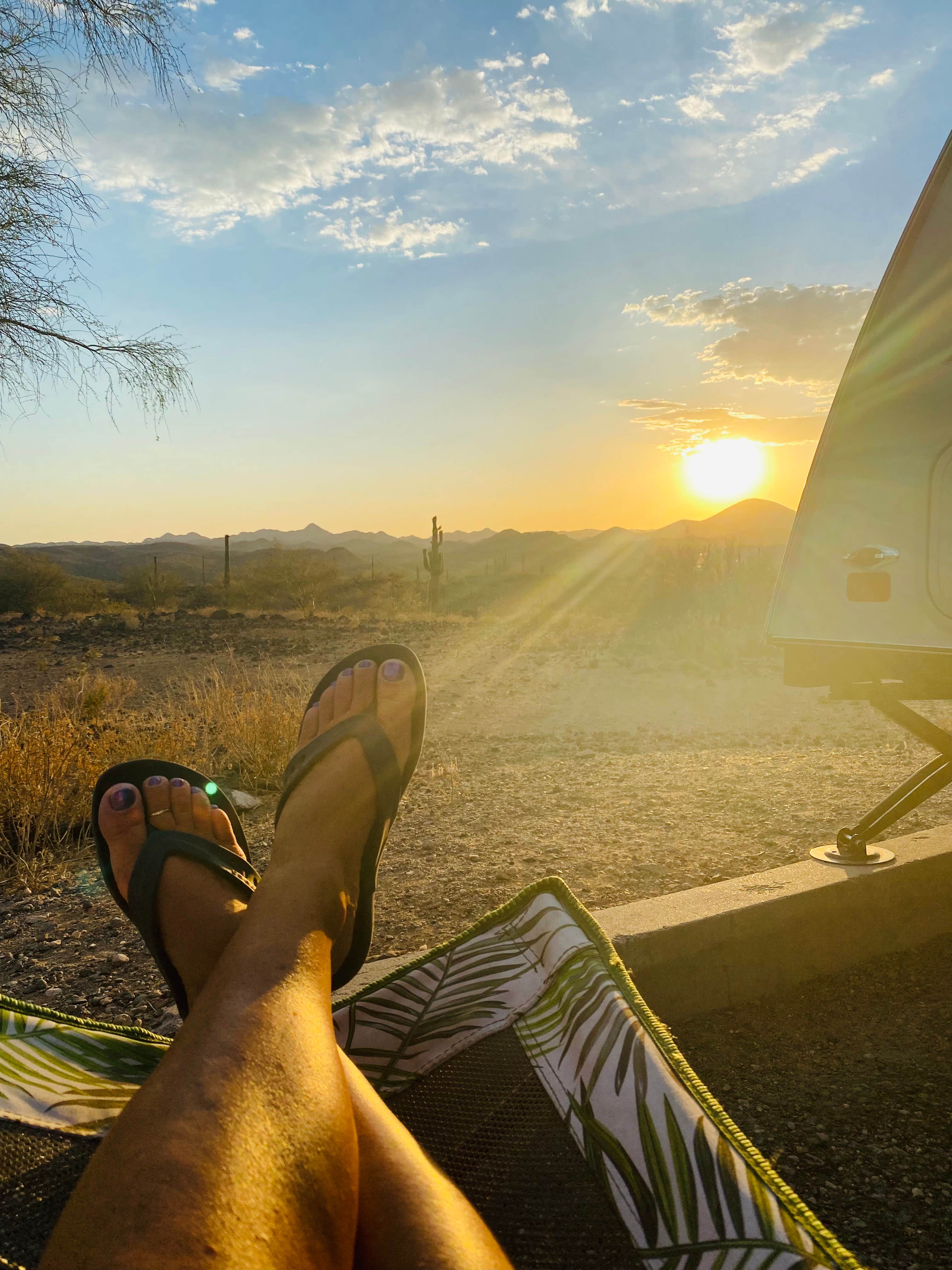 Camper submitted image from Roadrunner Campground - Lake Pleasant - 5