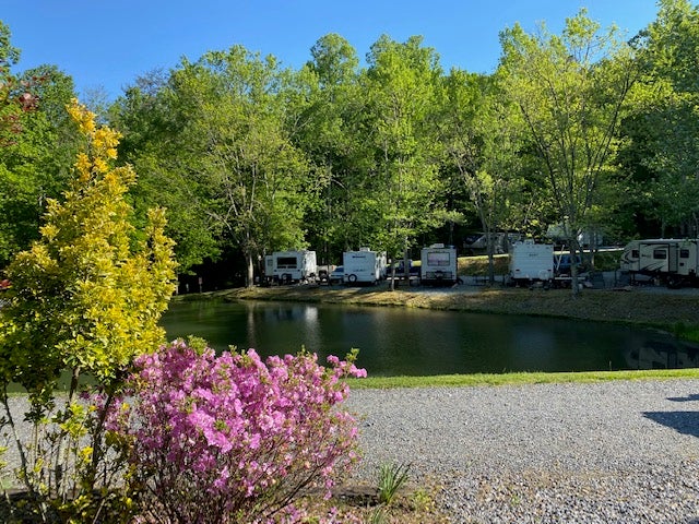 Camper submitted image from Long Ridge Campground - 1