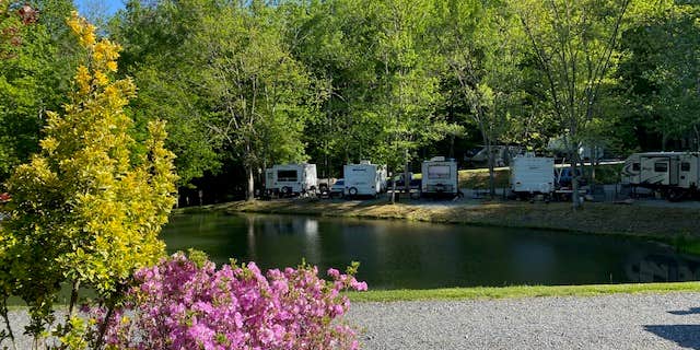 Camper submitted image from Long Ridge Campground