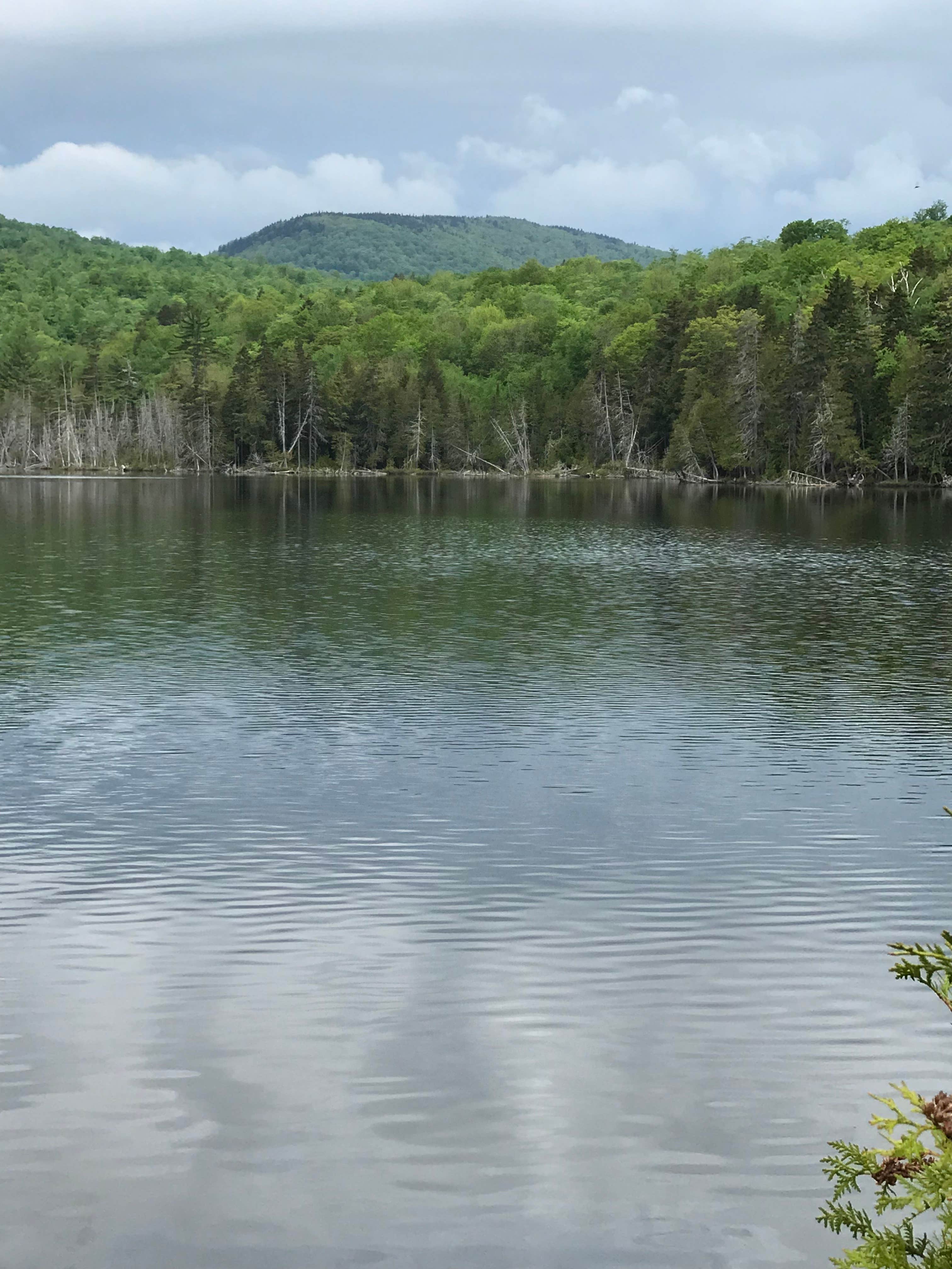 Camper-submitted photo at Deer Farm Camps & Campground - TEMPORARILY CLOSED near Madison, ME