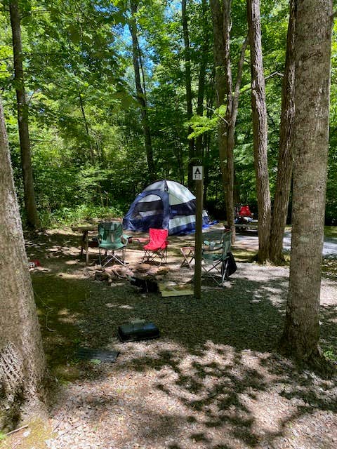 Lynn J.'s photo at Long Ridge Campground near Hiawassee, GA
